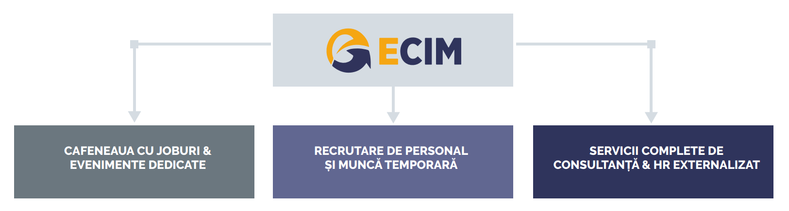 Soluții pentru companii